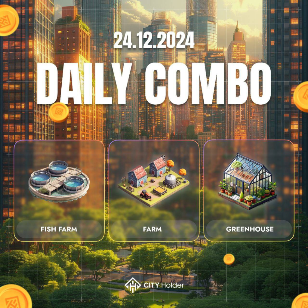 City Holder Combo 24-25 December